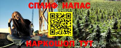 крисы Обь