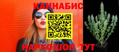 прущие грибы Нягань