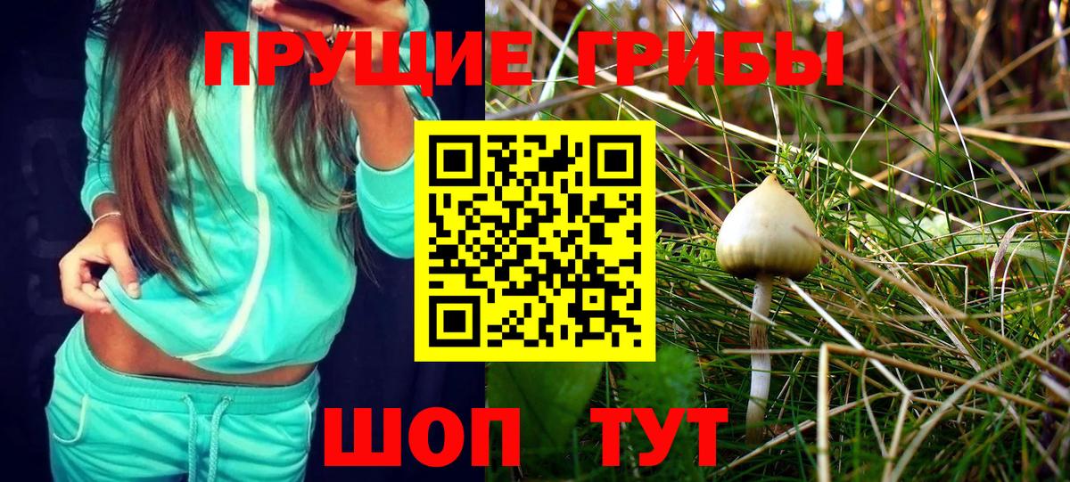 Галлюциногенные грибы Cubensis  Вход с VPN  Нижнекамск  Псилоцибиновые грибы MAGIC MUSHROOMS 